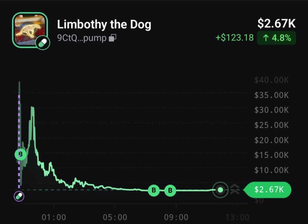 Limbothy the Dog chart